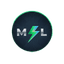 FlashML logo
